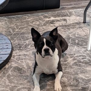 Meet your Posher, Jackelyn